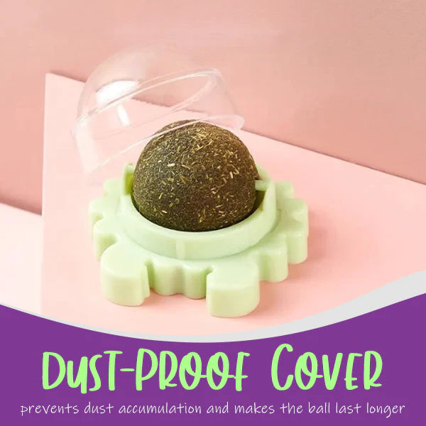 AEXZR™ Deluxe Catnip Wall Ball - Image 3