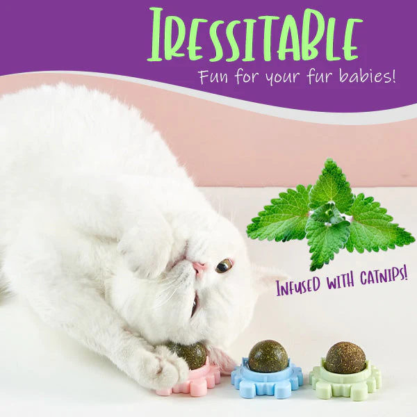 AEXZR™ Deluxe Catnip Wall Ball - Image 2