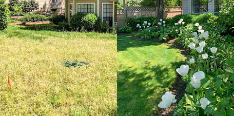 AAFQ Plant-Specific Organic Nutrient Supplement - Image 5