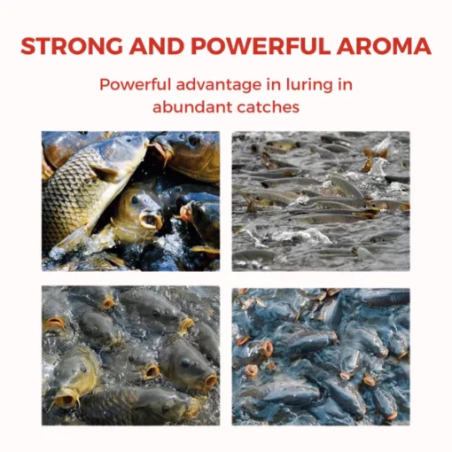 TIMNAMY™ Fish Attractant - Image 6