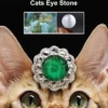 Cat Eye Stone Full Diamond Necklace