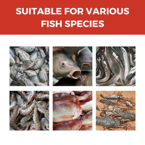 TIMNAMY™ Fish Attractant - Image 4