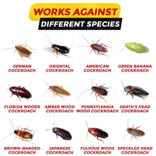 GFOUK™ Roach Maxtrap Gel - Image 3