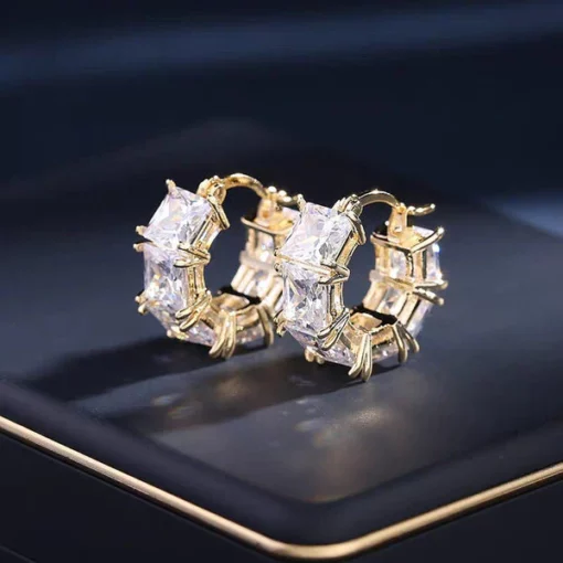 CZTICLE® Lymphvitic Magnetisch Earrings - Image 2