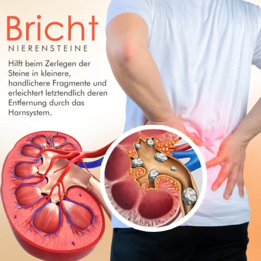 AEXZR™ Nierenpflege-Pflaster - Image 5