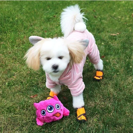 Monster Dog Active Ball - Image 3