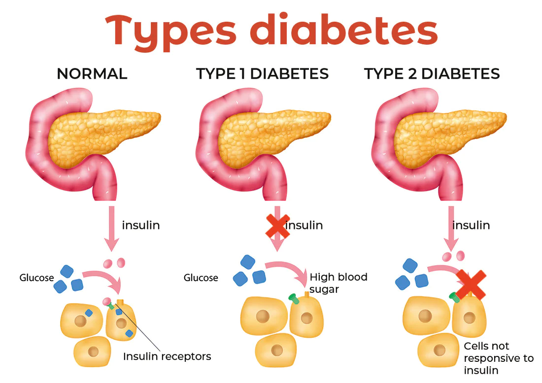 Futusly™ Blood Sugar Regulation Medical Health Wristband - Image 9