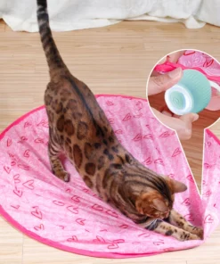 2 in 1 Simulated Interactive hunting cat toy