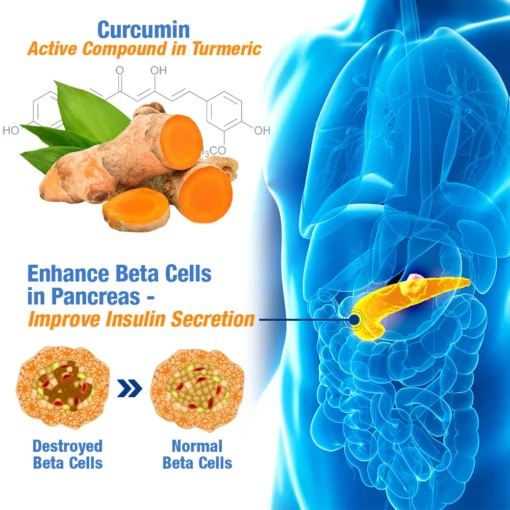 GFOUK™️ GlucoGuard Health Balance Patch - Image 7