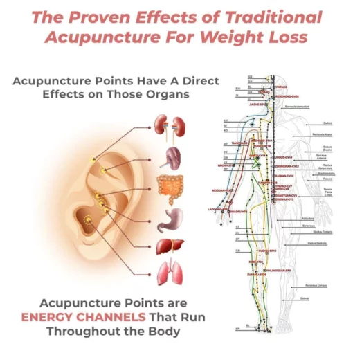 Bikenda™ Lymph Flow Magnetogen Earrings - Image 5