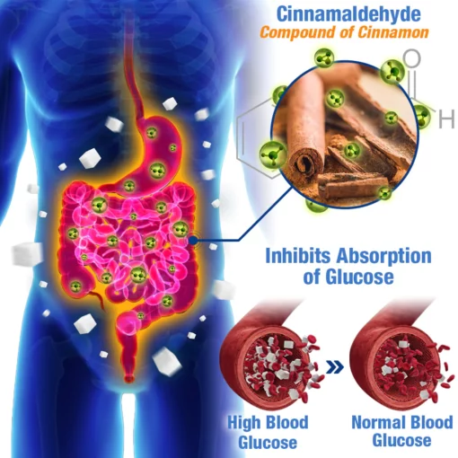 GFOUK™️ GlucoGuard Health Balance Patch - Image 4