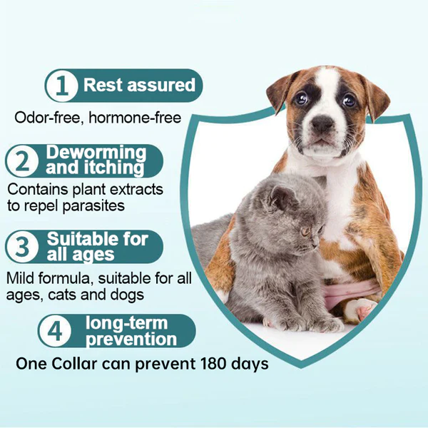 TIMNAMY™ Natural Deworming Pet Collar - Image 7