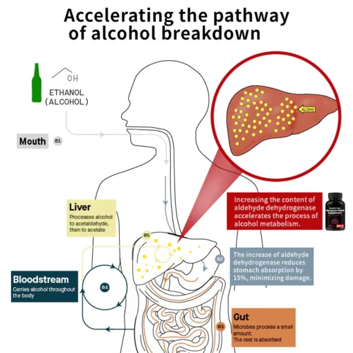 EasyRx™ Fast Hangover Relief Supplement - Image 4