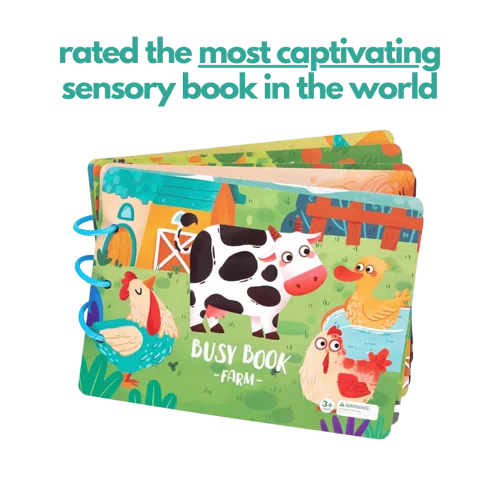 Sensory Book - Image 8