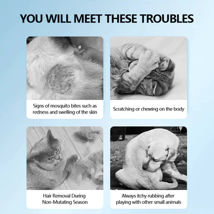 TIMNAMY™ Natural Deworming Pet Collar - Image 6