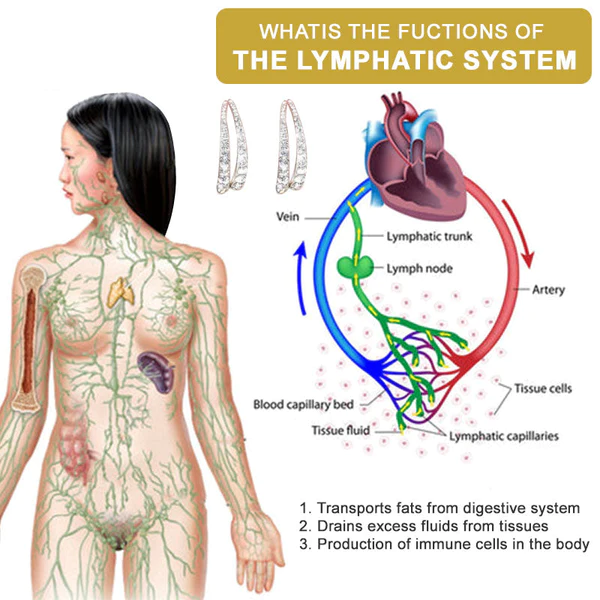 Futusly™ Lymphatic Magnetic Germanium Cross Curved Earrings - Image 5
