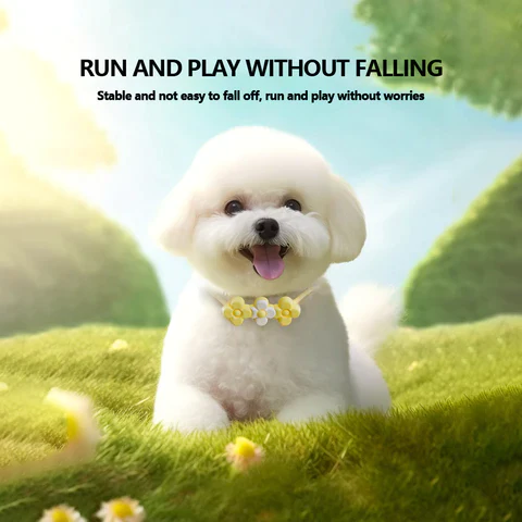 TIMNAMY™ Natural Deworming Pet Collar - Image 5