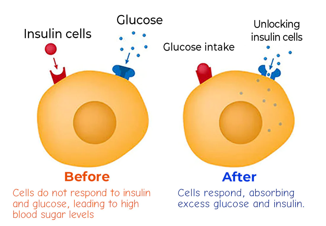 Futusly™ Blood Sugar Regulation Medical Health Wristband - Image 3