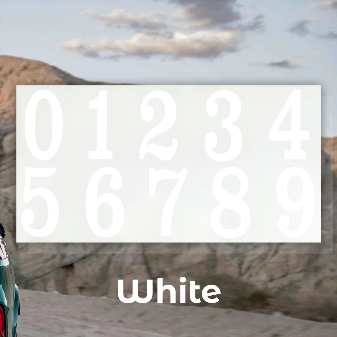 RICPIND Stealth Guard Plate Concealer - Image 11