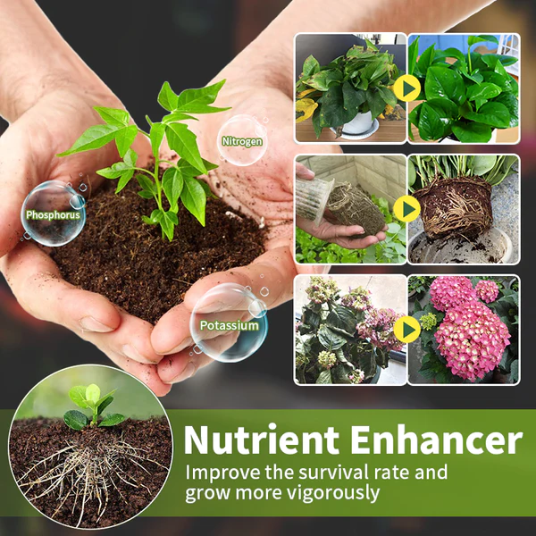 Thonesr™ UltraGrowth Plant Growth Hormone - Image 3