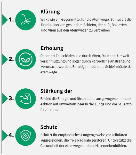 AAFQ™ClearBreath Dendrobium- und Königskerzenextrakt – Leistungsstarke Lungenunterstützung, Reinigung und Atemwege – Hergestellt in den USA – Kräutertropfen - Image 2