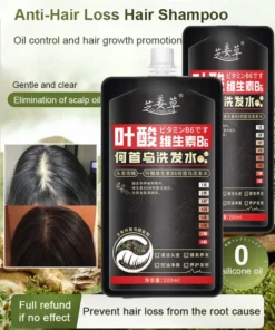 Ginger Plant Extract Anti-Hair Loss Hair Shampoo