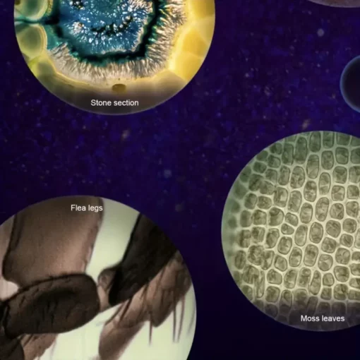 RICPIND HD Monocular Portable Telescope - Image 5