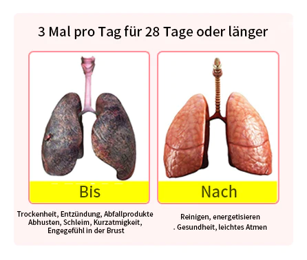 AAFQ™ClearBreath Dendrobium- und Königskerzenextrakt – Leistungsstarke Lungenunterstützung Reinigung und Atemwege – Hergestellt in den USA – Kräutertropfen