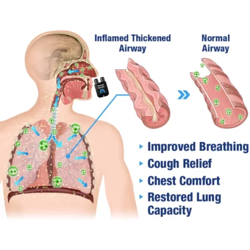 GFOUK™ HerbalBreathe Respiratory Cleansing Aerosolizer - Image 4