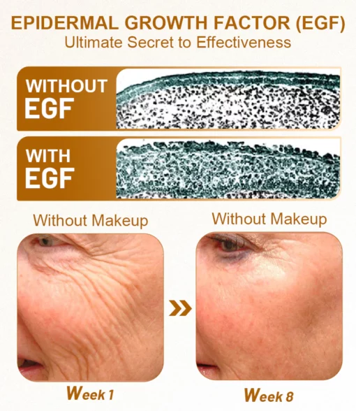 Dobshow™ EGF Face Tightener Serum - Image 4