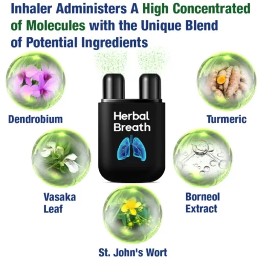 GFOUK™ HerbalBreathe Respiratory Cleansing Aerosolizer - Image 3