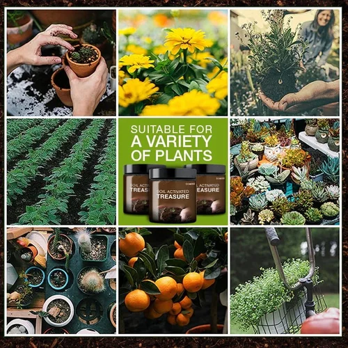 Bodenaktivierter Schatz – Sie werden staunen! - Image 3