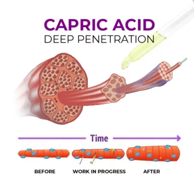 LIMETOW™ Hip Plump Capric Oil - Image 8