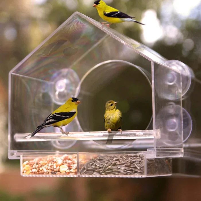 Window Bird Feeder - Image 6