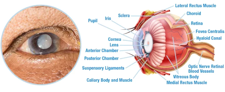 GFOUK™ OphthalTech Vision Vitality Electric Device - Image 5