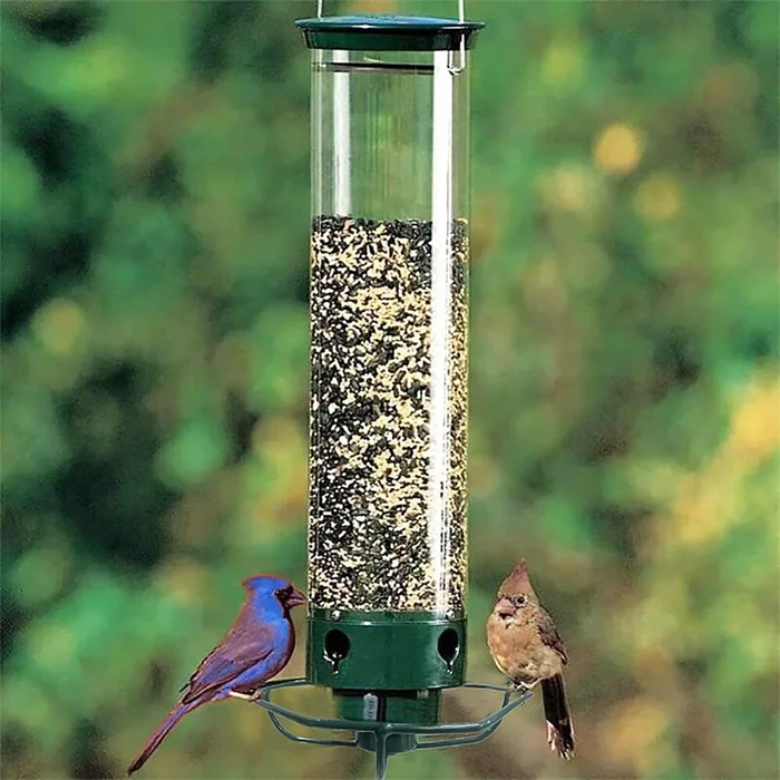 Squirrel-Proof Bird Feeder - Image 2