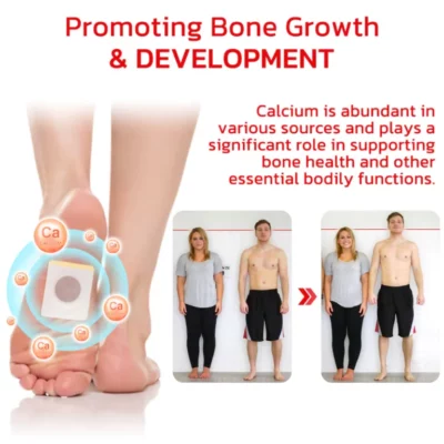 GFOUK™ CalciumHerbs Posture Enhancement Pads - Image 6