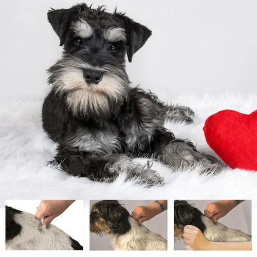 Animal Hair Removered Comb - Image 8