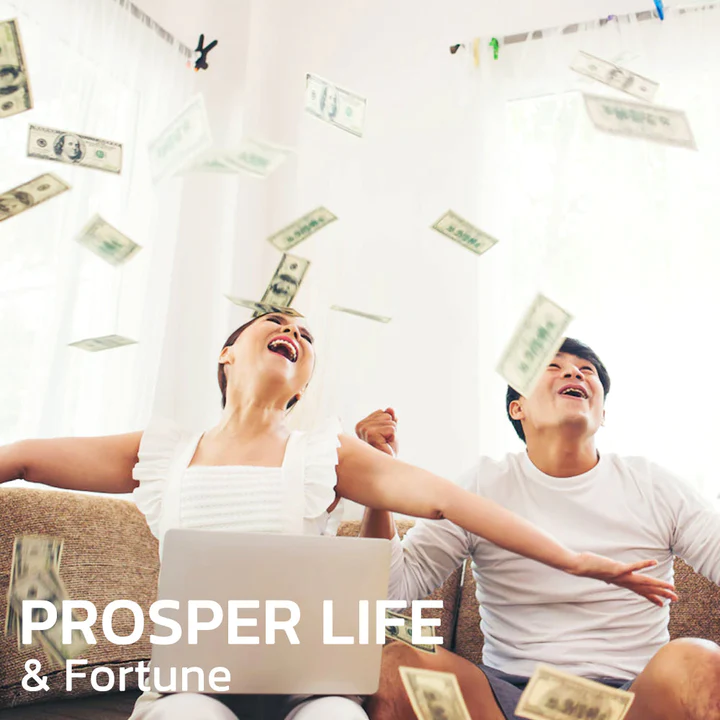 FengShui Golden 7 Coins Insoles - Image 4