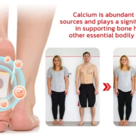 GFOUK™ CalciumHerbs Posture Enhancement Pads - Image 3