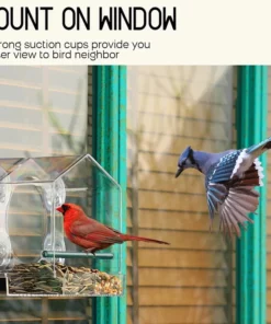 Window Bird Feeder