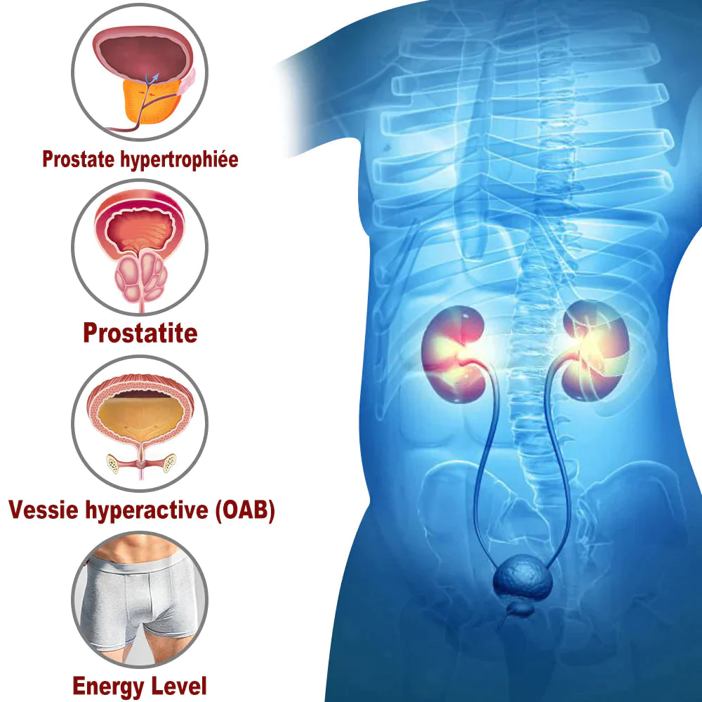 Bracelet Voilaist™ dernière génération 2024 - Image 5