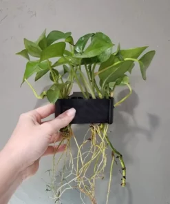 FISH TANK HYDROPONIC SHELF