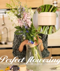 Spiral Ikebana Stem Holder