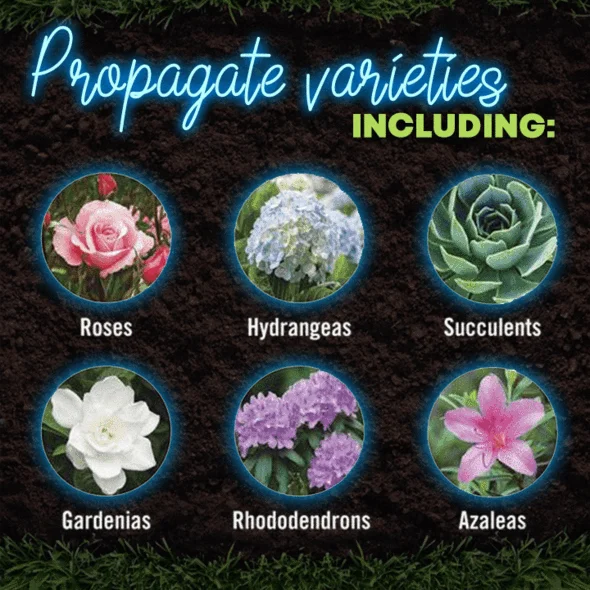 GrowPro™ Rapid Rooting Powder - Image 3