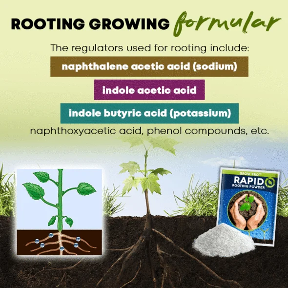 GrowPro™ Rapid Rooting Powder - Image 13