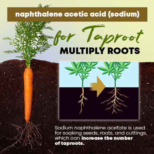 GrowPro™ Rapid Rooting Powder - Image 12