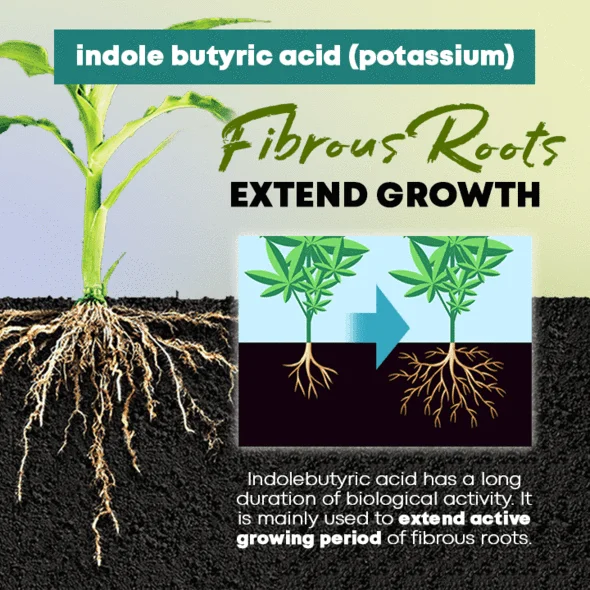 GrowPro™ Rapid Rooting Powder - Image 10