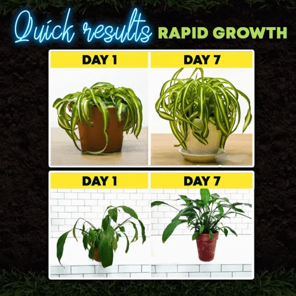 GrowPro™ Rapid Rooting Powder - Image 8