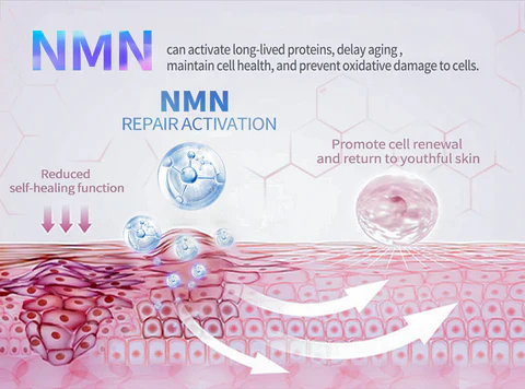 Awzlove™ NMN Age Reversal Hydration Serum - Image 5